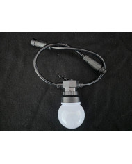 Digital Festoon RGBW 3000K