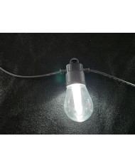 Digital Festoon RGB WW CW