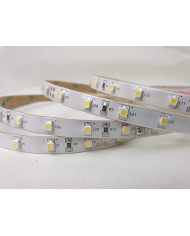 3528 Series White LED Tape (Low Power)